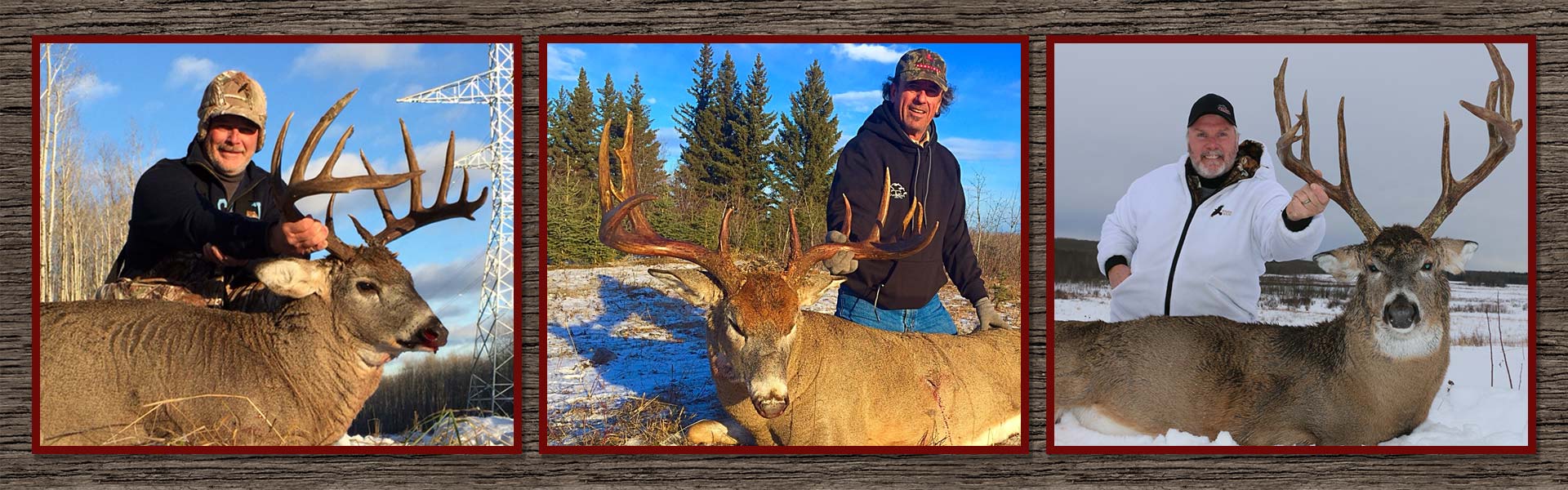 Alberta Whitetail Deer Hunts Alberta Whitetail Deer Hunts